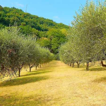 וילה 4 Bedrooms With Sea View Private Pool And Enclosed Garden At Centinarola 3 Km Away From The Beach Rosciano (Marche)